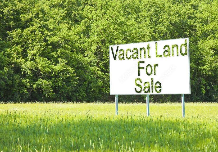 Alger, MI 48610,Partridge Nest