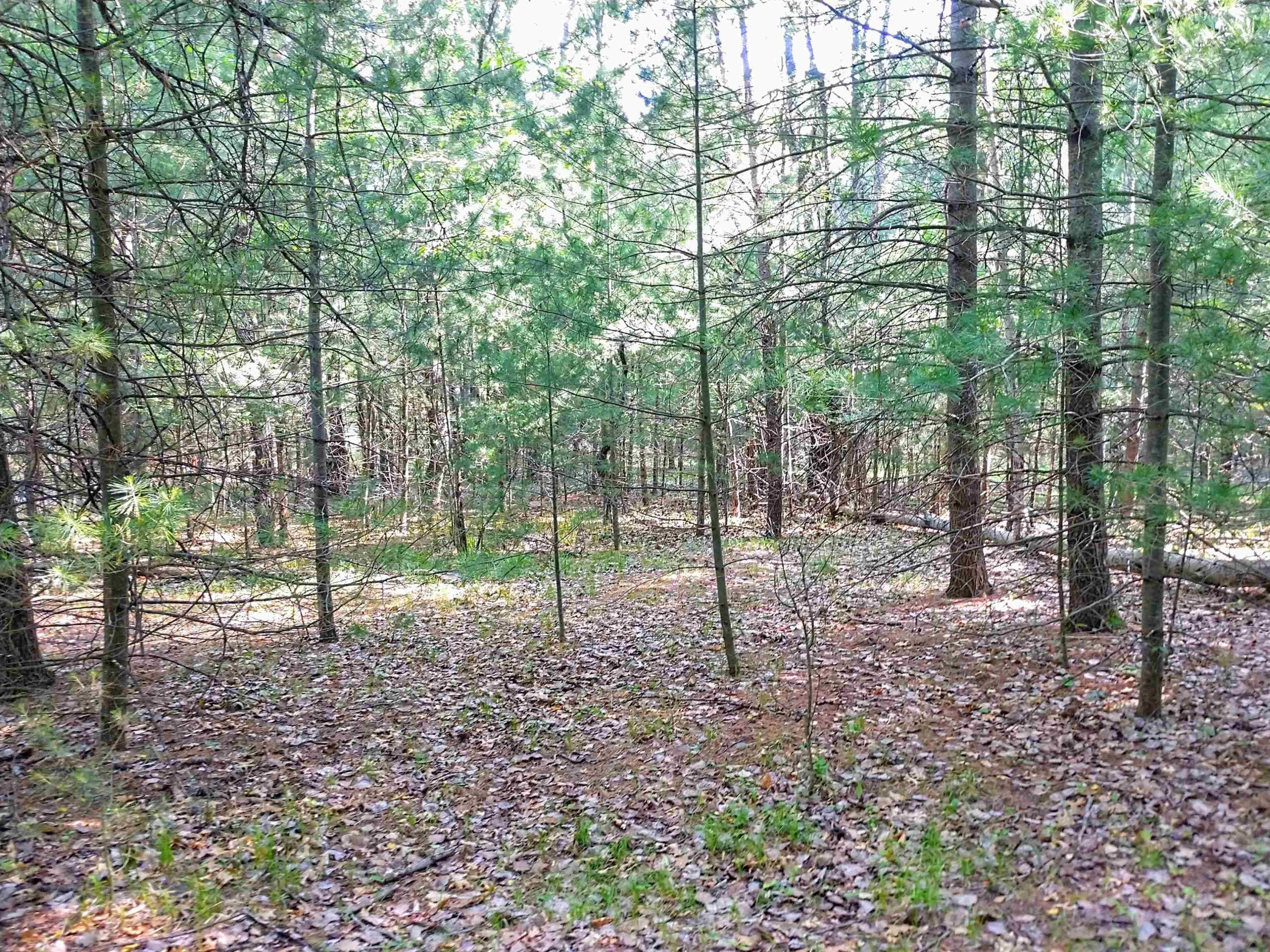 Alger, MI 48610,Partridge Nest