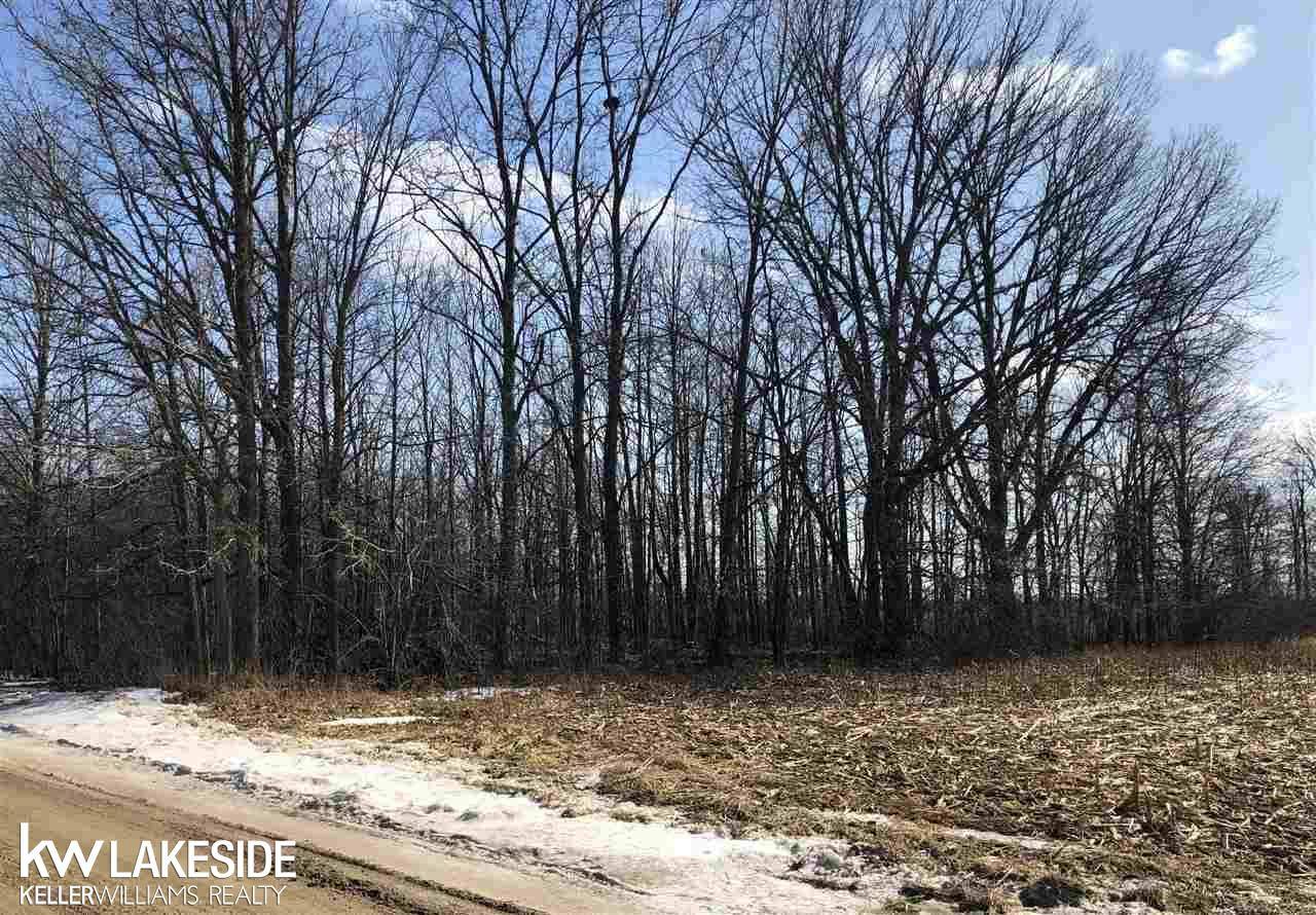 Richmond Twp, MI 48062,00 Dayton