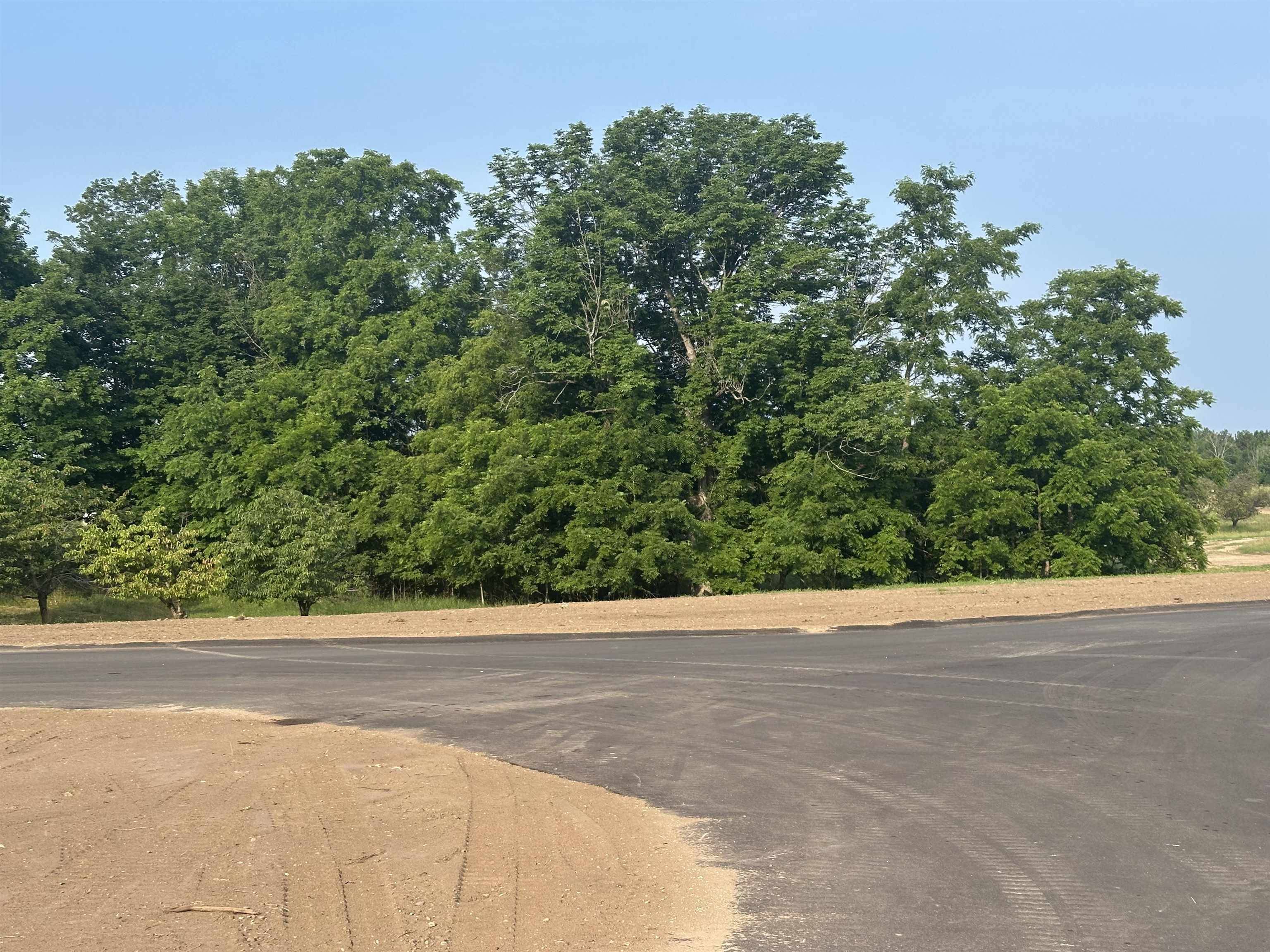 Glen Arbor, MI 49636,Parcel 5 Karnes RD