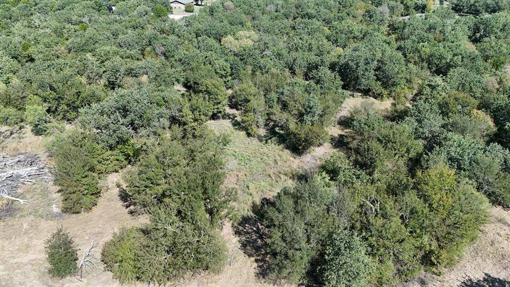 Mineral Wells, TX 76067,TBD Sam Houston St C Street