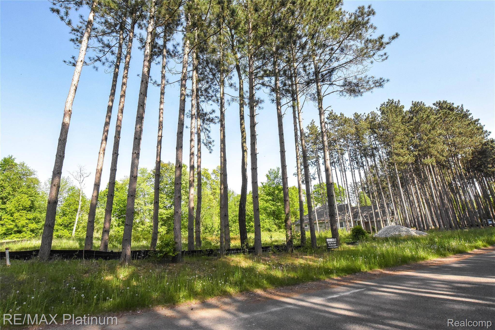 Linden, MI 48451,9031 PINEVIEW RIVER DR