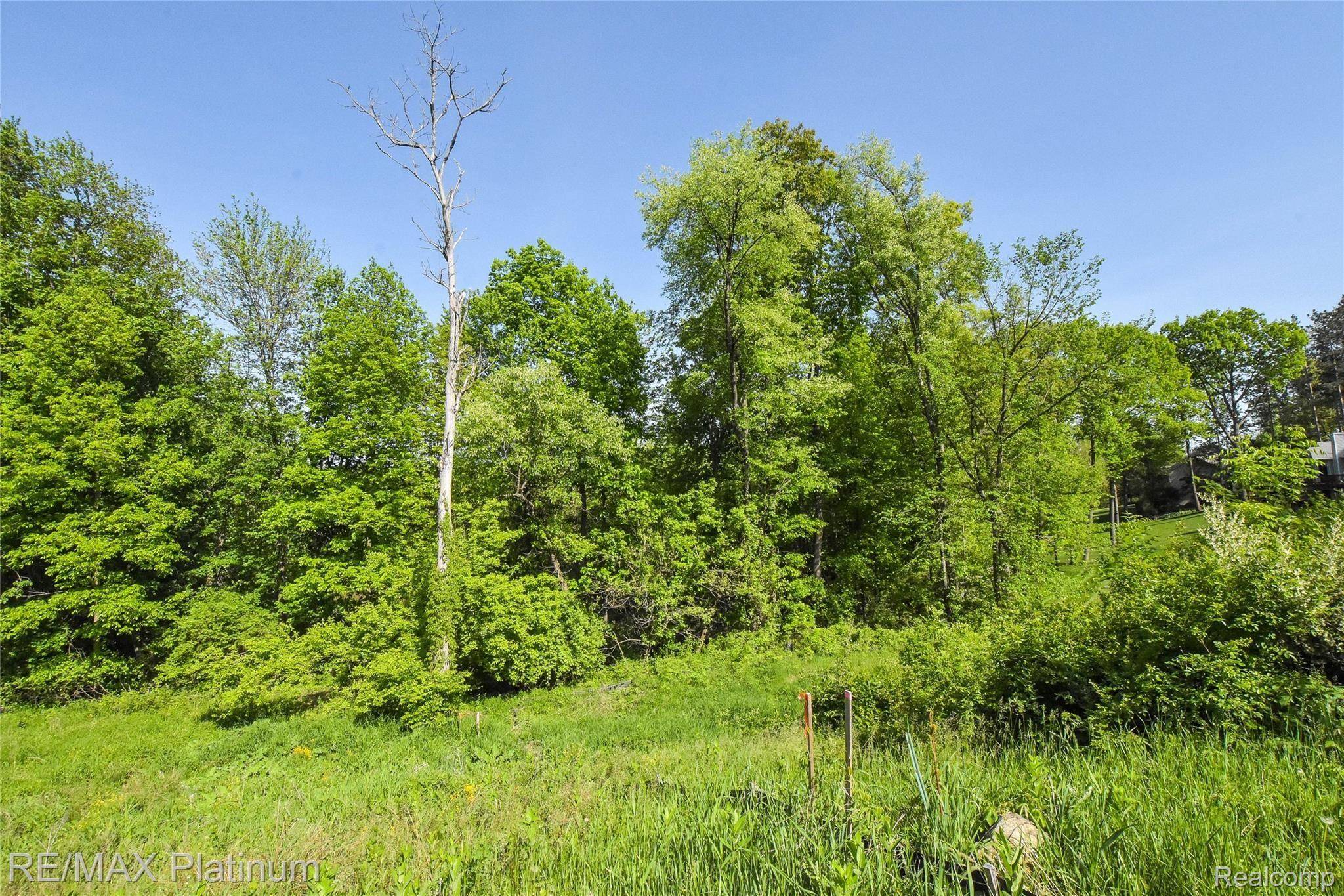 Linden, MI 48451,9031 PINEVIEW RIVER DR