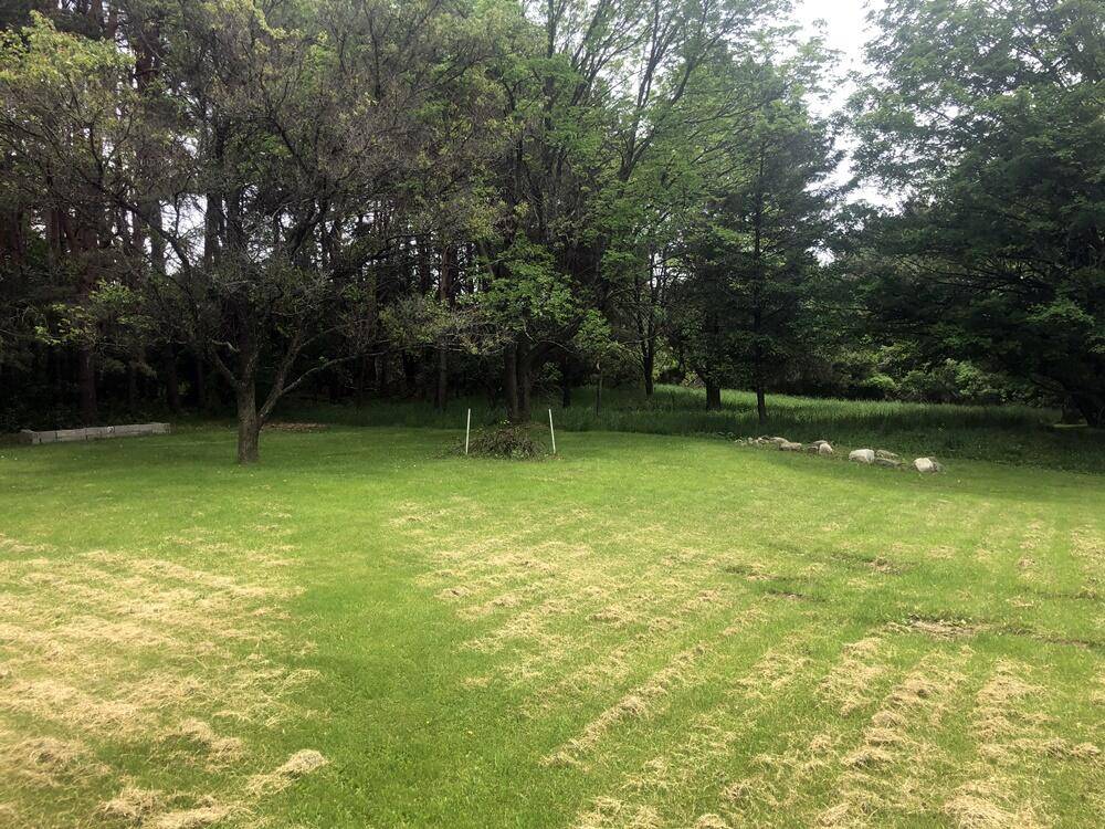 Big Rapids, MI 49307,413 Bailey DR