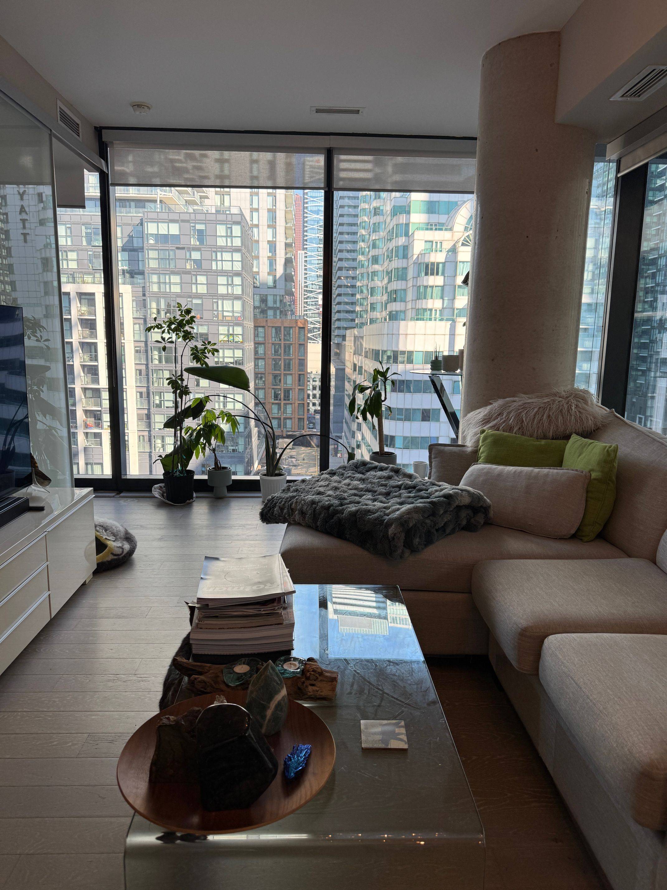 Toronto C01, ON M5V 0M6,11 Charlotte ST #1007