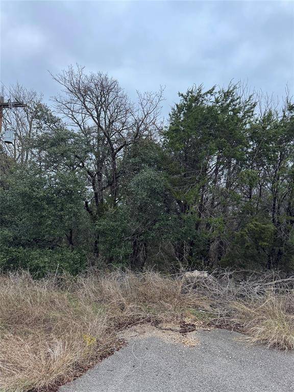 Granbury, TX 76048,1013 Comanche Cove Drive