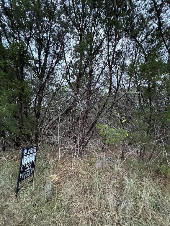 Granbury, TX 76048,1013 Comanche Cove Drive