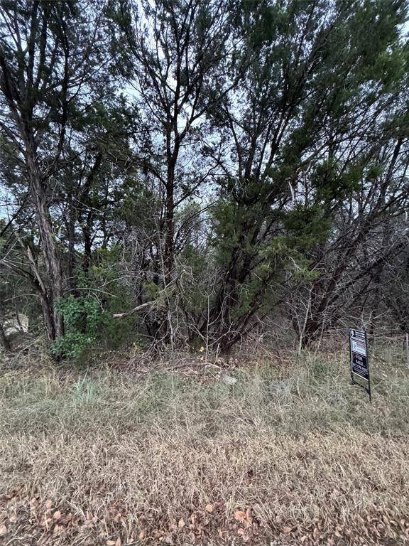 Granbury, TX 76048,1013 Comanche Cove Drive