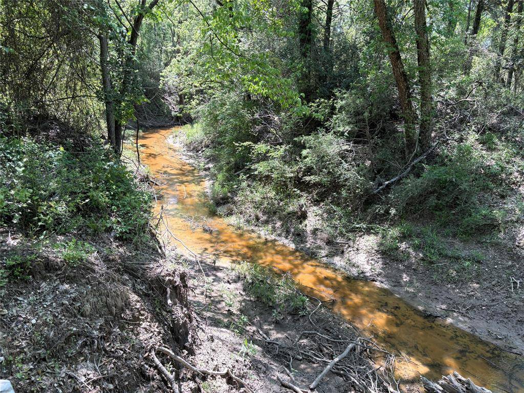 Groesbeck, TX 76642,TBD E State Highway 164