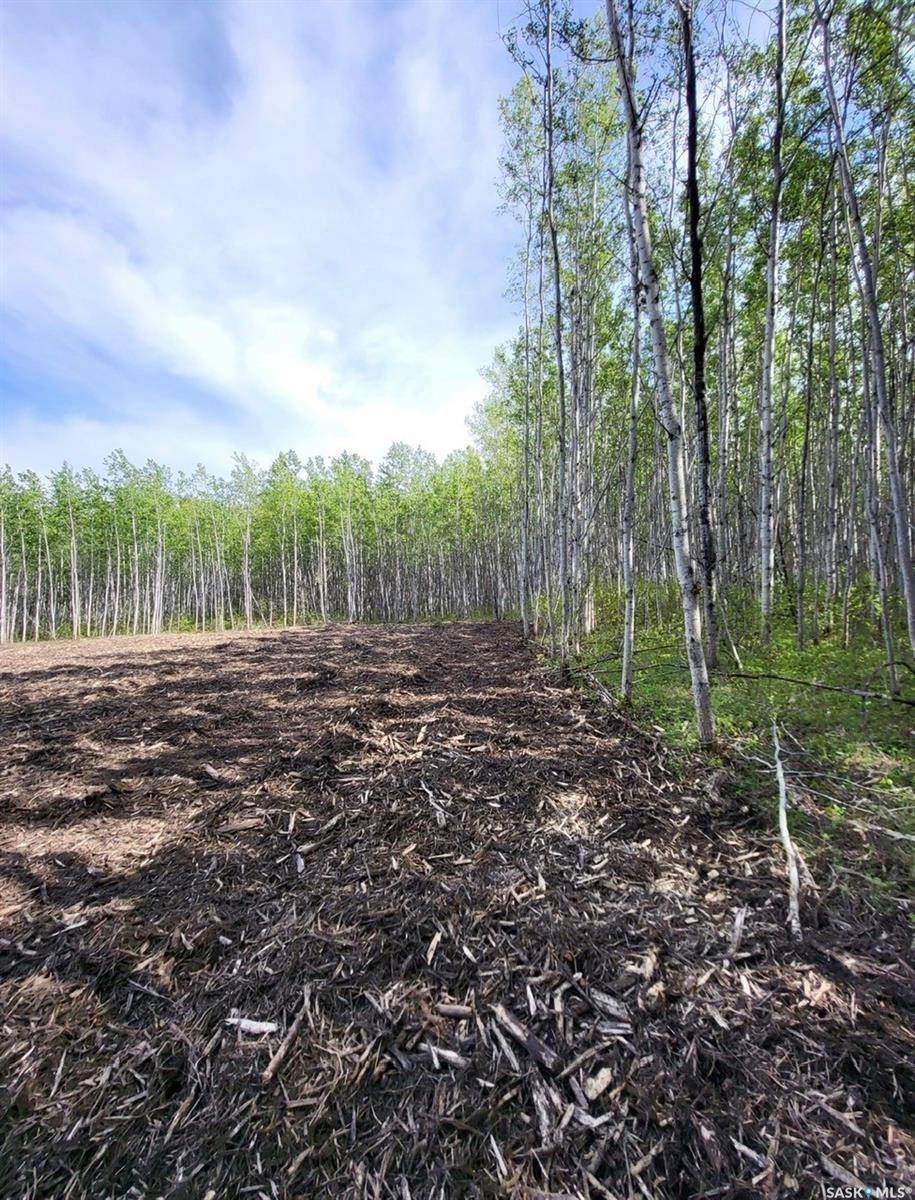 Meadow Lake Rm No.588, SK S9X 1Y7,Rural Address