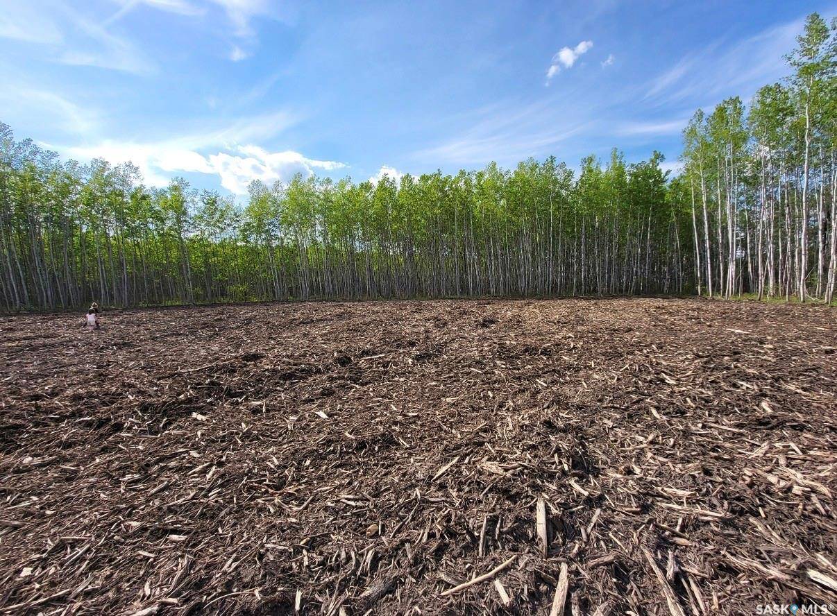 Meadow Lake Rm No.588, SK S9X 1Y7,Rural Address