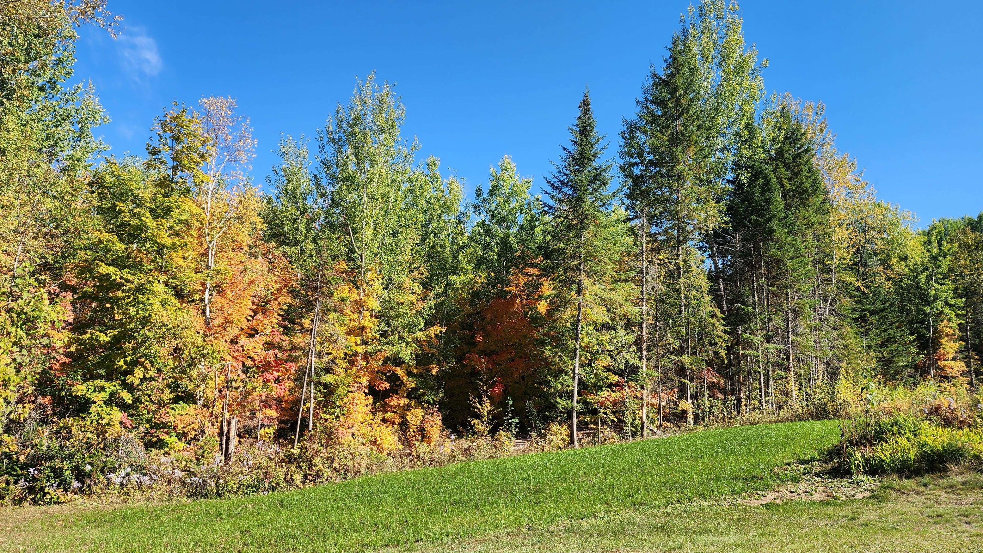 Brudenell, Lyndoch And Raglan, ON K0J 2G0,868 Addington RD