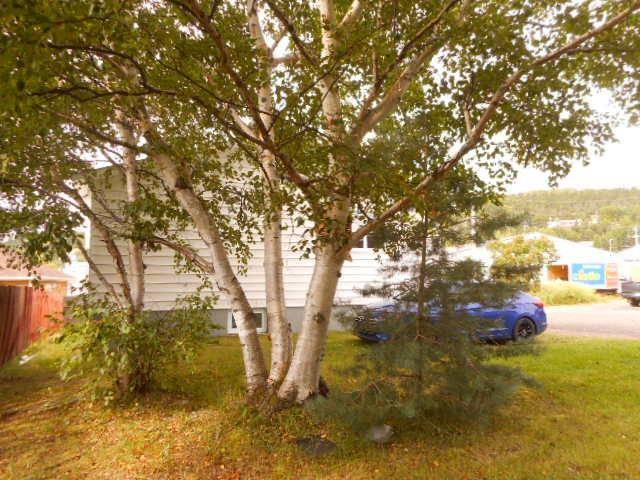 Springdale, NL A0J1T0,165A Main Street