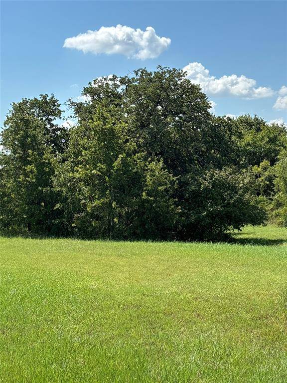 Stephenville, TX 76401,1075 Timber Ridge Drive