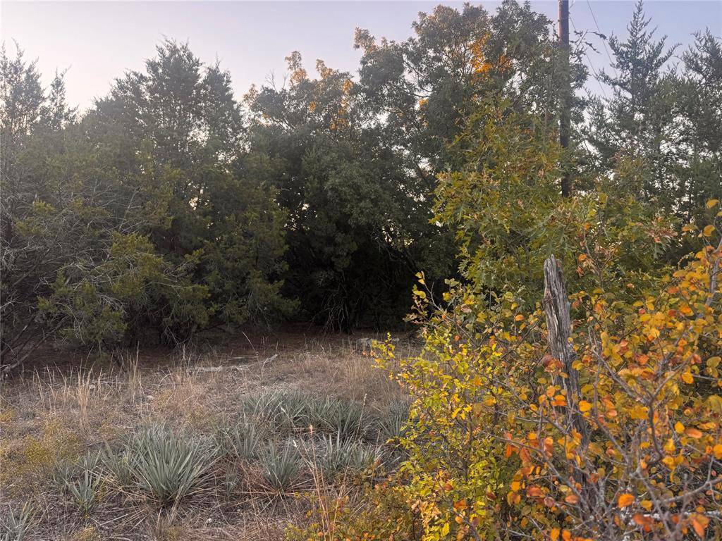 Azle, TX 76020,412 Skyview Lane