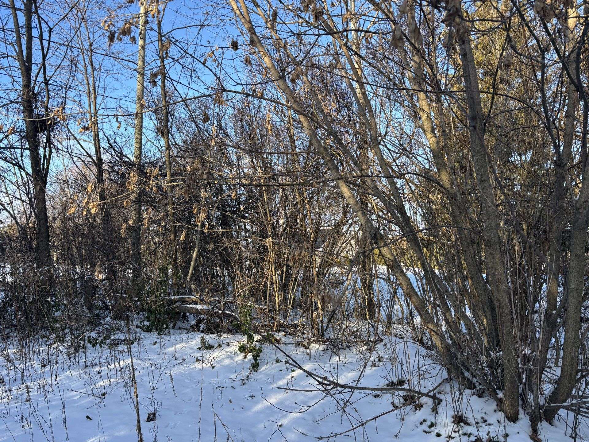 Cramahe, ON K0K 1S0,00 Kelwood LN