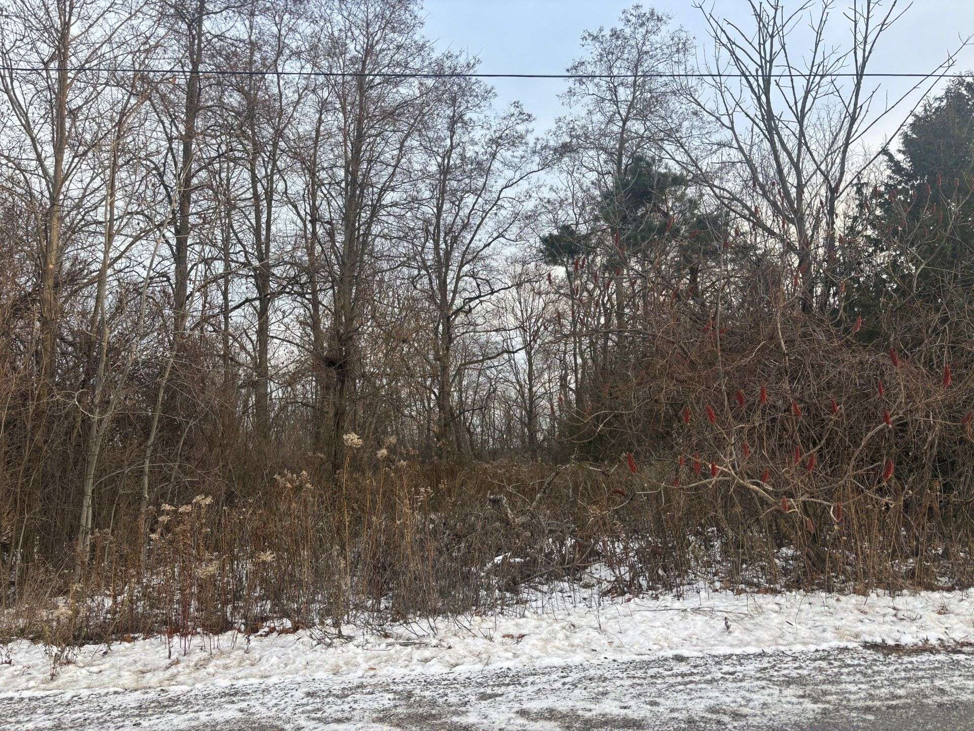 Cramahe, ON K0K 1S0,00 Kelwood LN