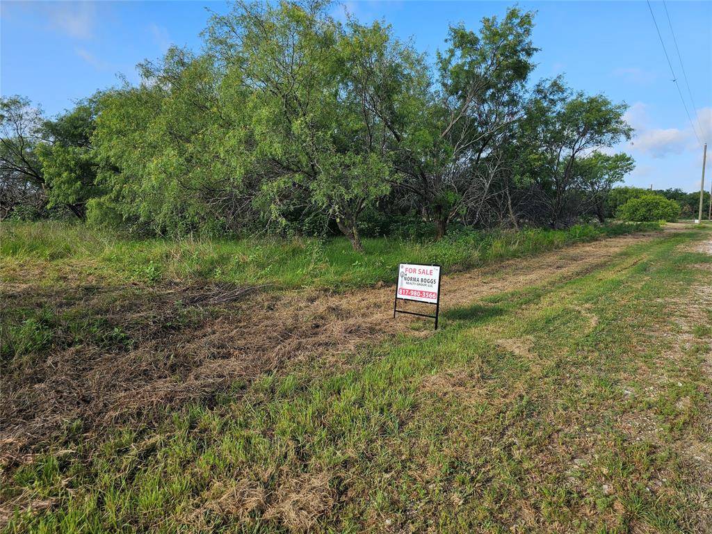 Covington, TX 76636,TBD Lot 5 Block 1