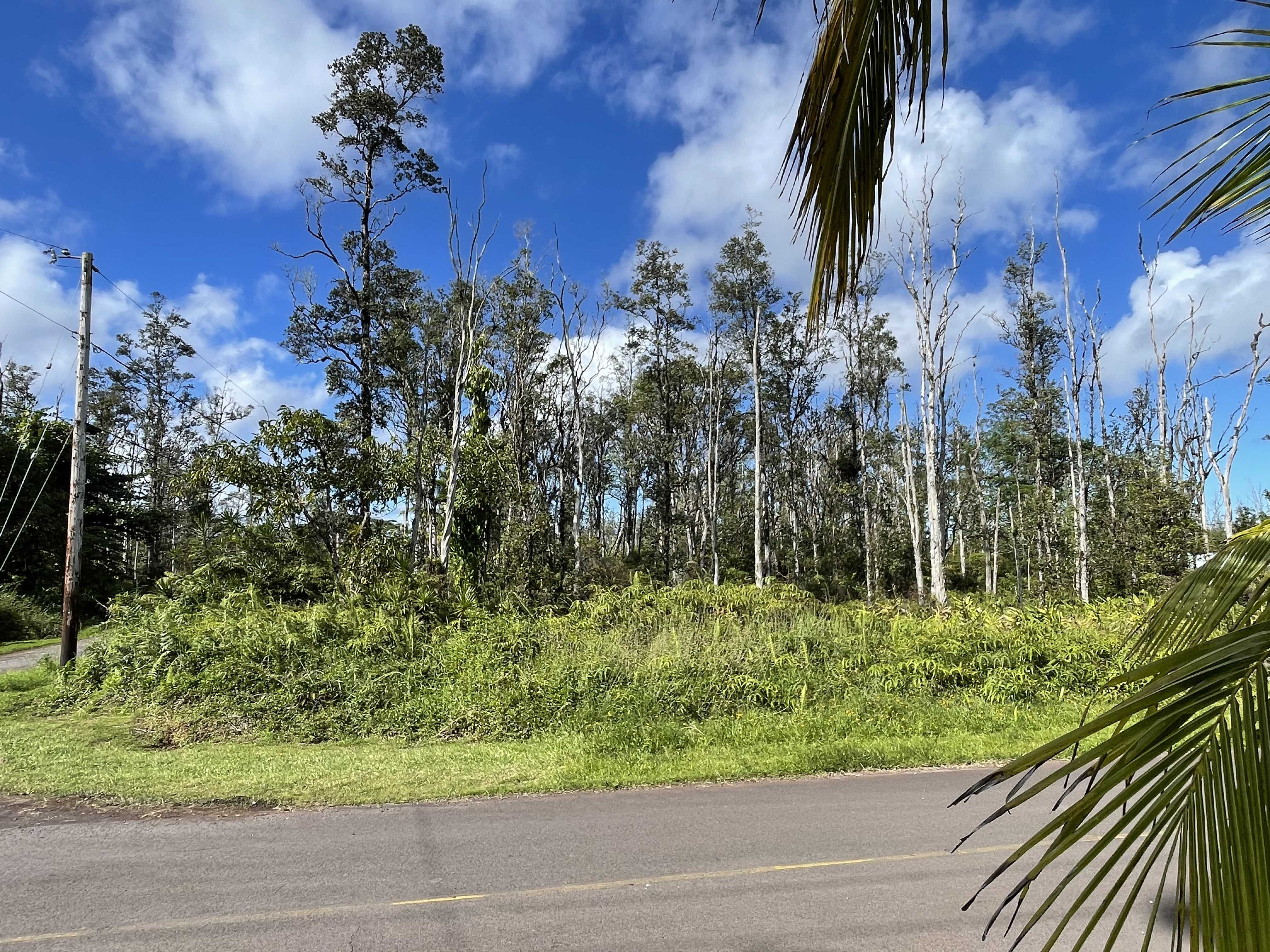 Pahoa, HI 96778,PLUMERIA DR
