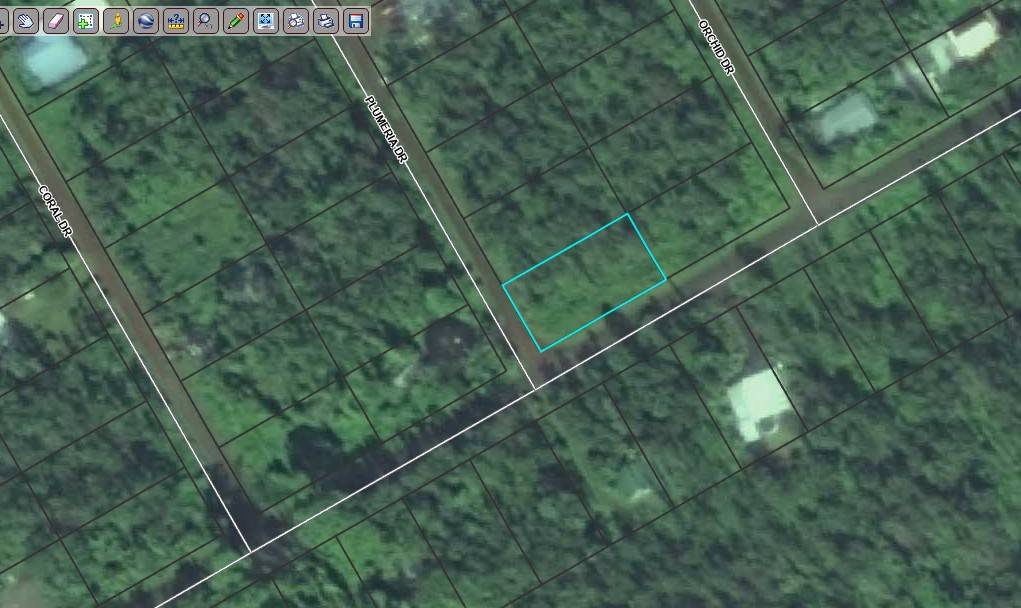 Pahoa, HI 96778,PLUMERIA DR