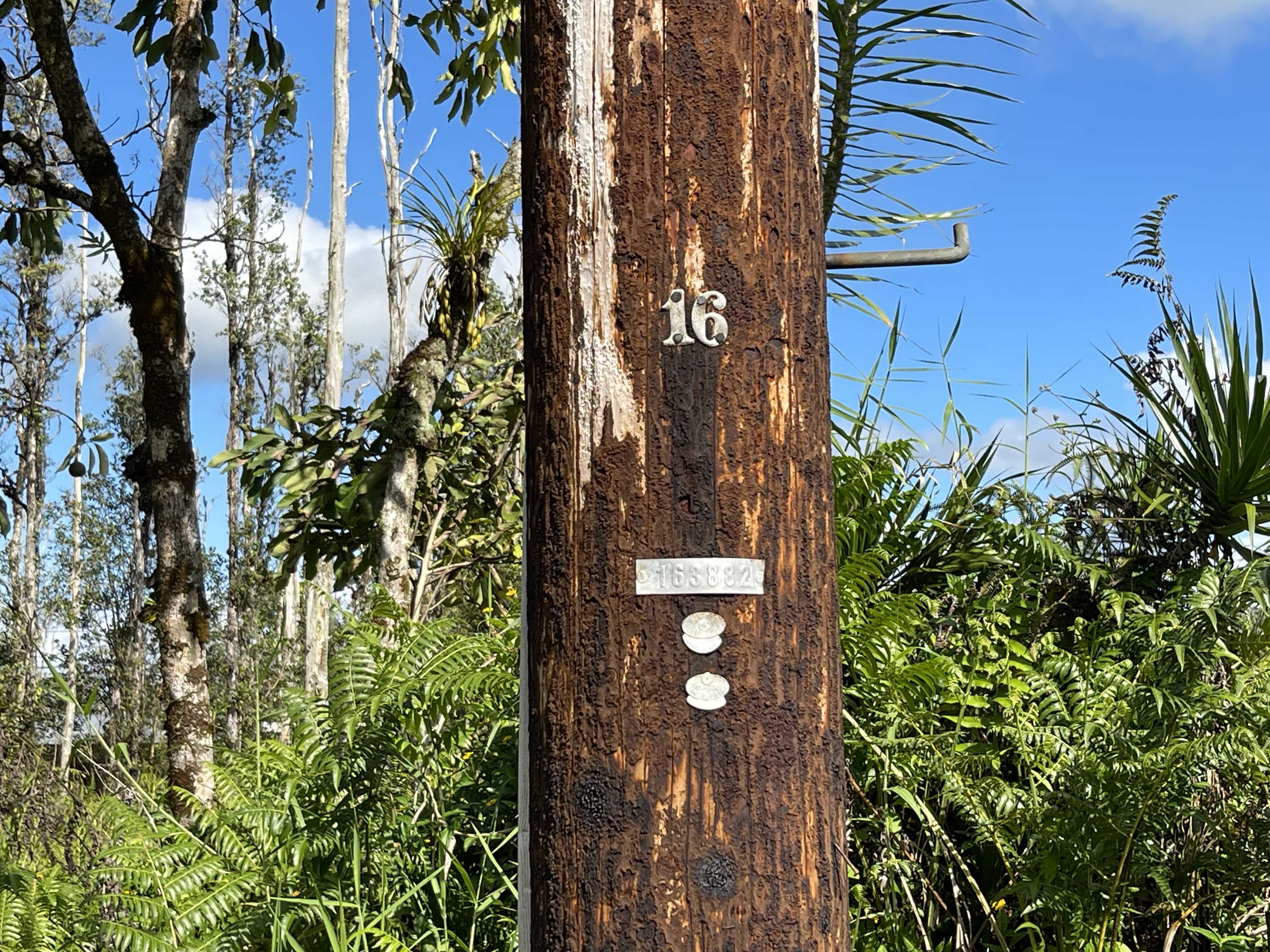 Pahoa, HI 96778,PLUMERIA DR