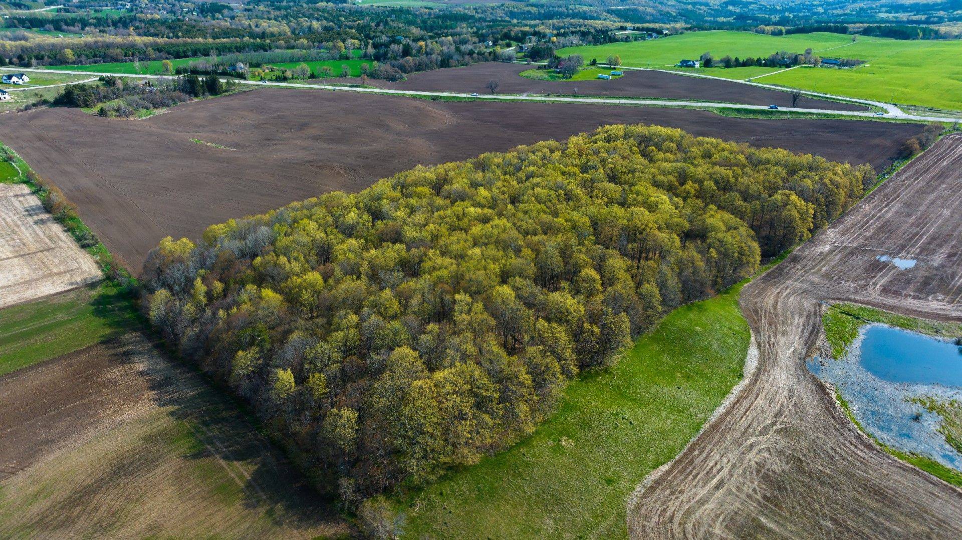 Melancthon, ON L9V 1X6,0-LT12 Con 2 County Rd 124 N/A