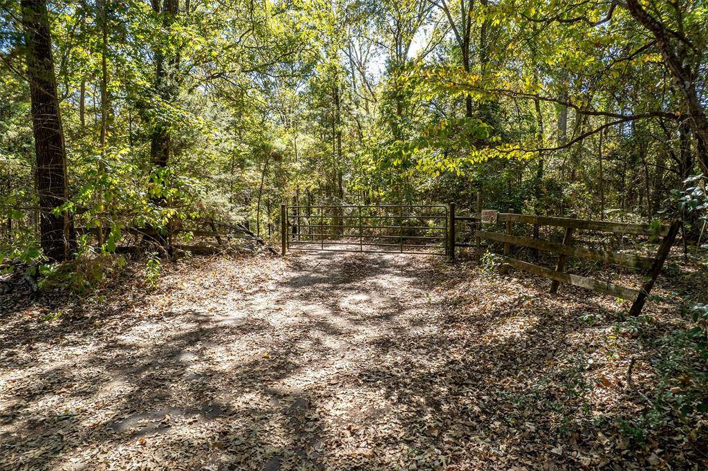 Quitman, TX 75783,2026 CR 3234