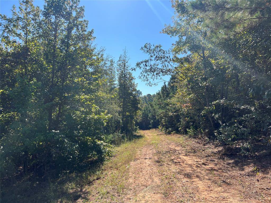 Avinger, TX 75630,TBD CR 1579-1