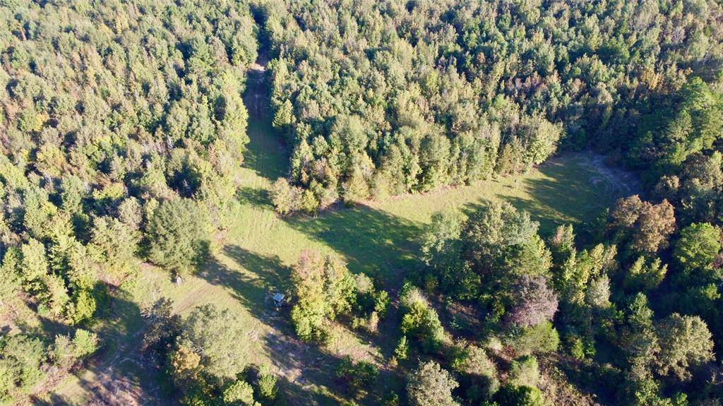 Avinger, TX 75630,TBD CR 1579-2