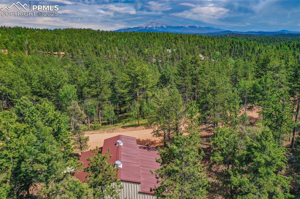 Florissant, CO 80816,449 Woody Creek RD