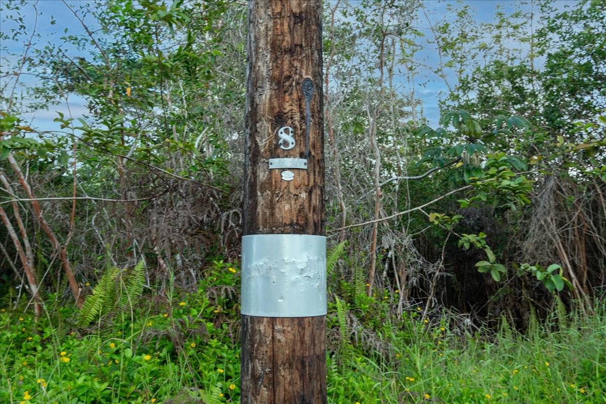 24TH AVE, Keaau, HI 96749