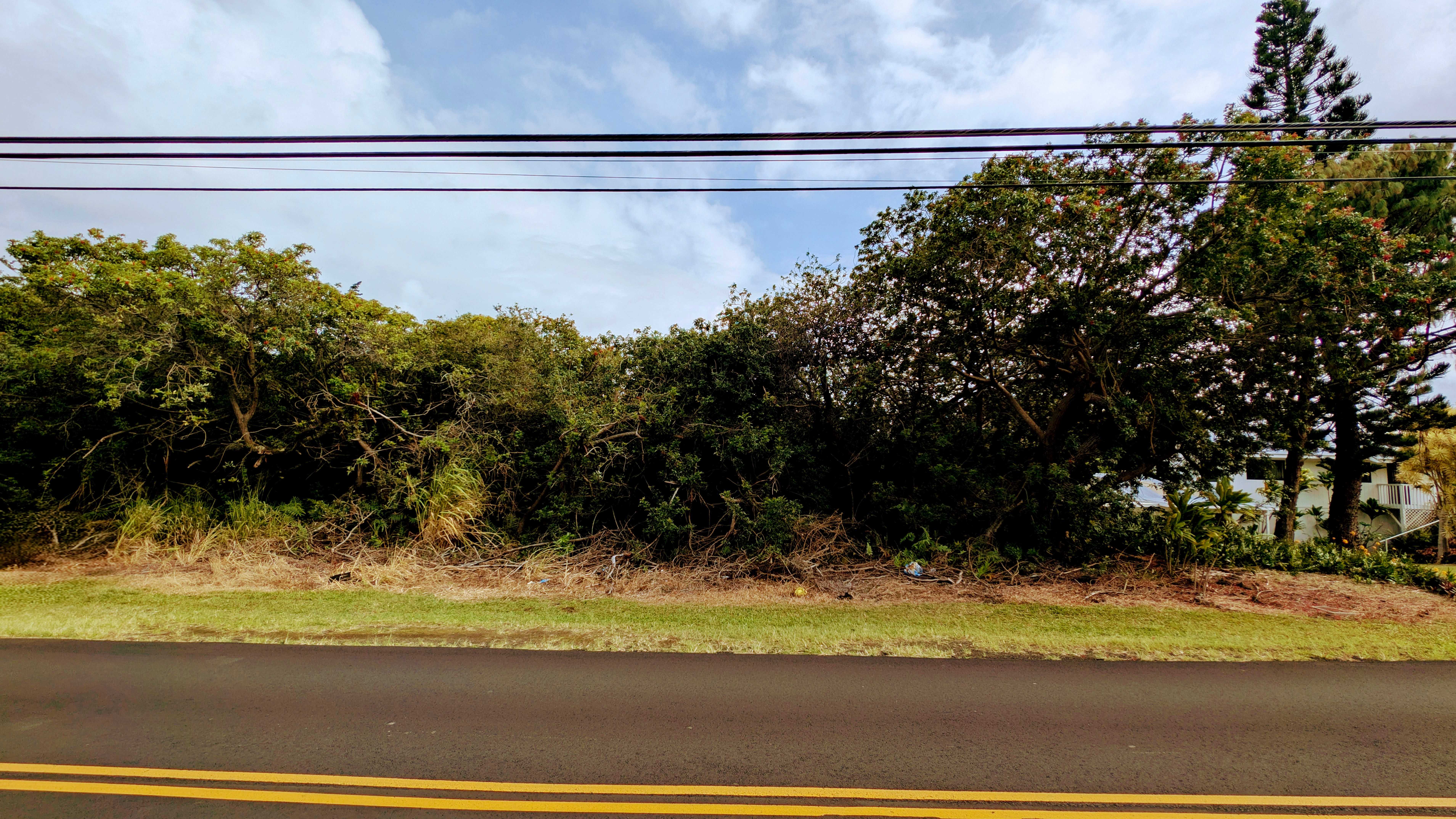 Naalehu, HI 96772,94-6579 KAMAOA RD