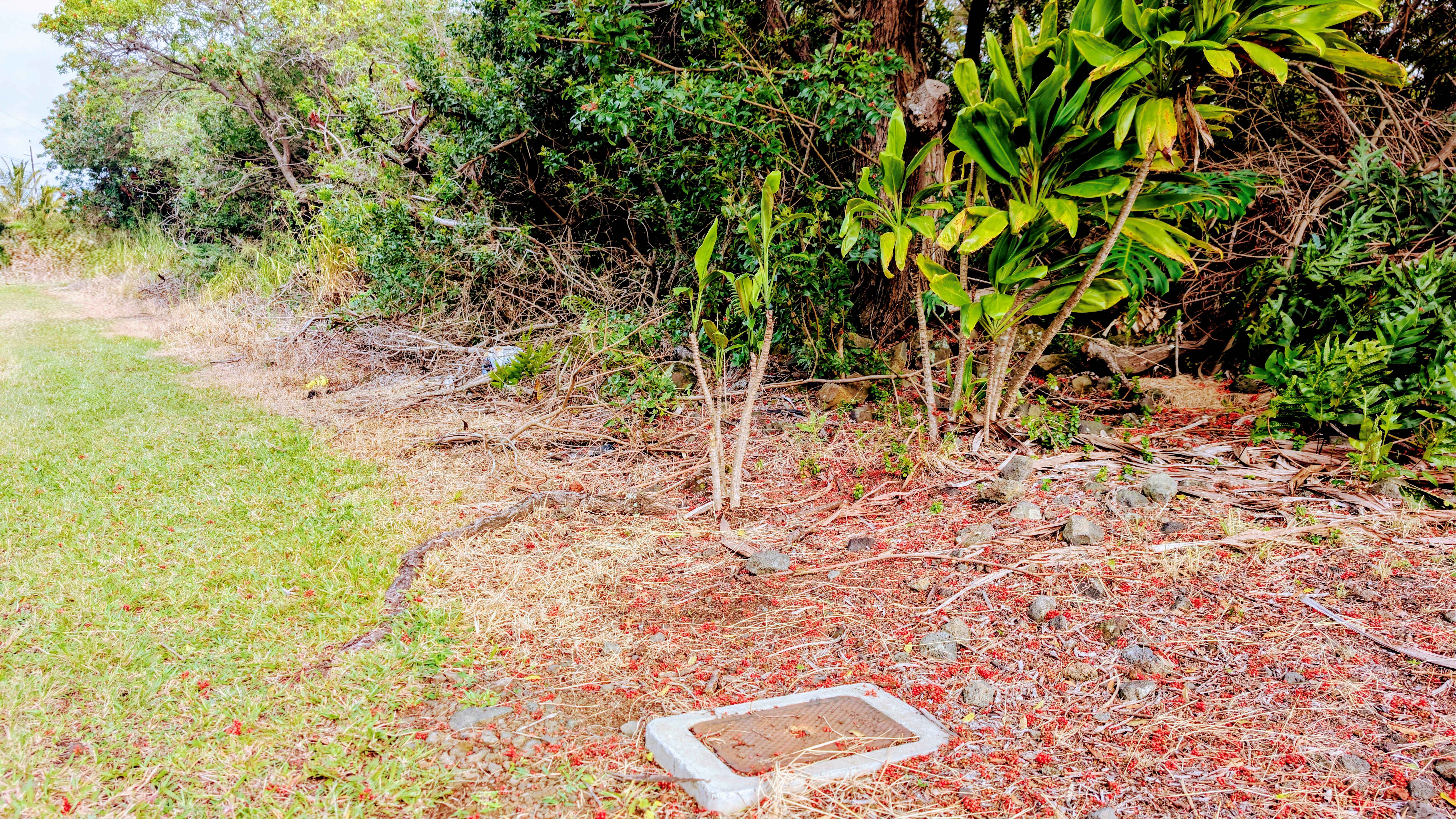 Naalehu, HI 96772,94-6579 KAMAOA RD