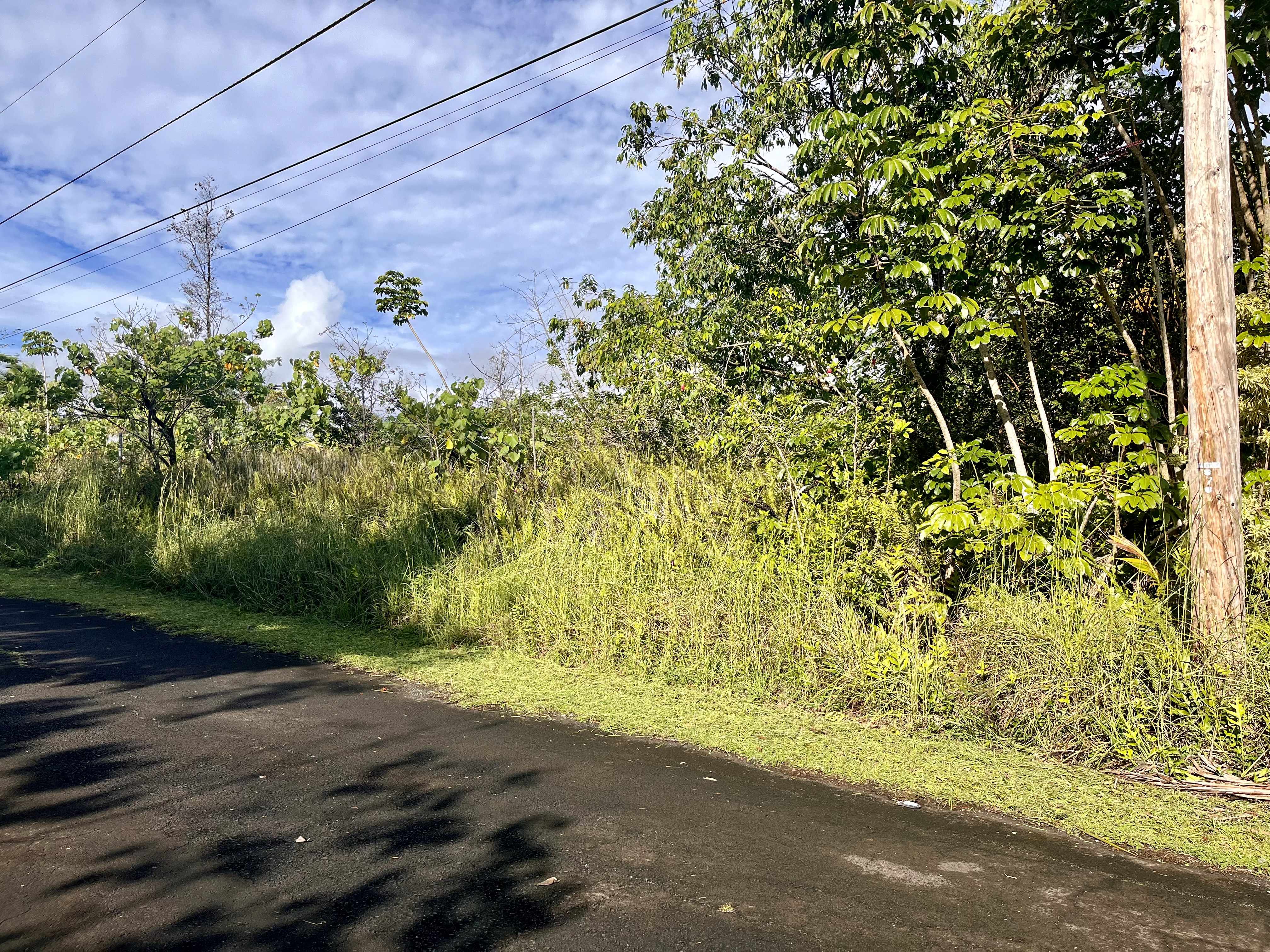 Pahoa, HI 96778,PUULENA ST