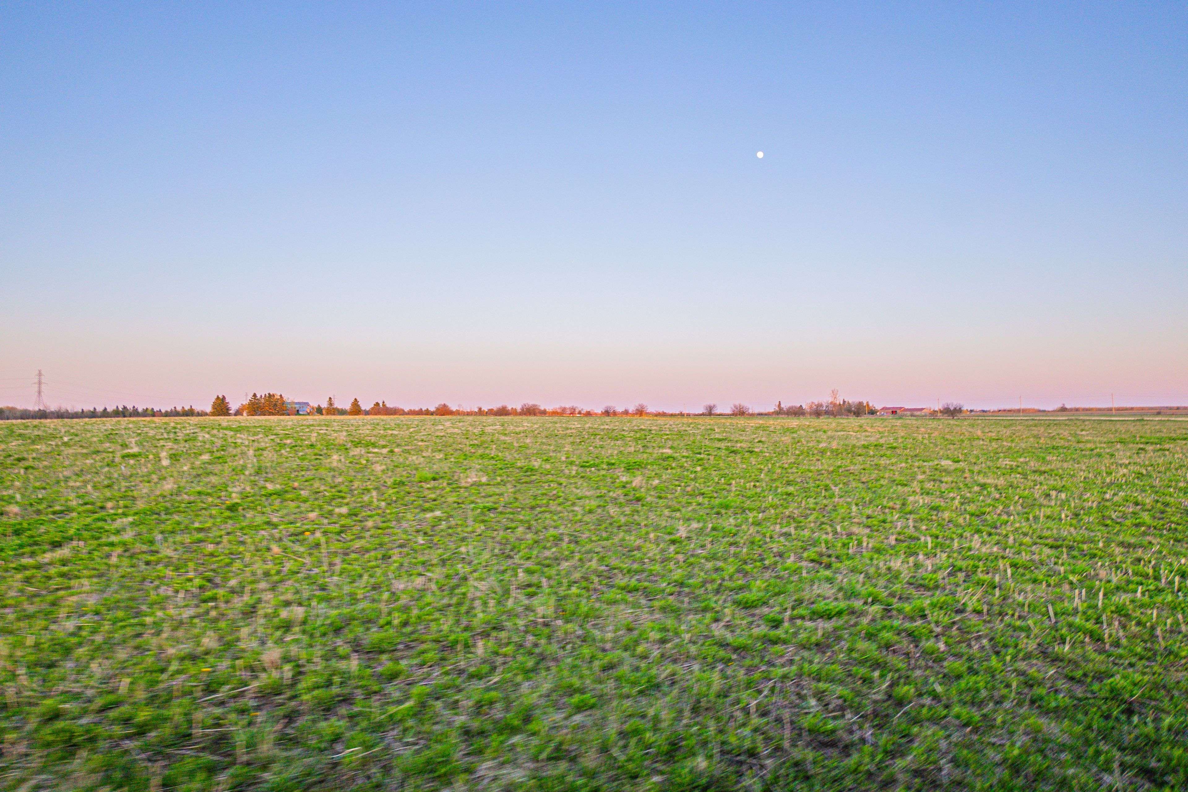 Amaranth, ON L9W 0N1,393330 County RD #12