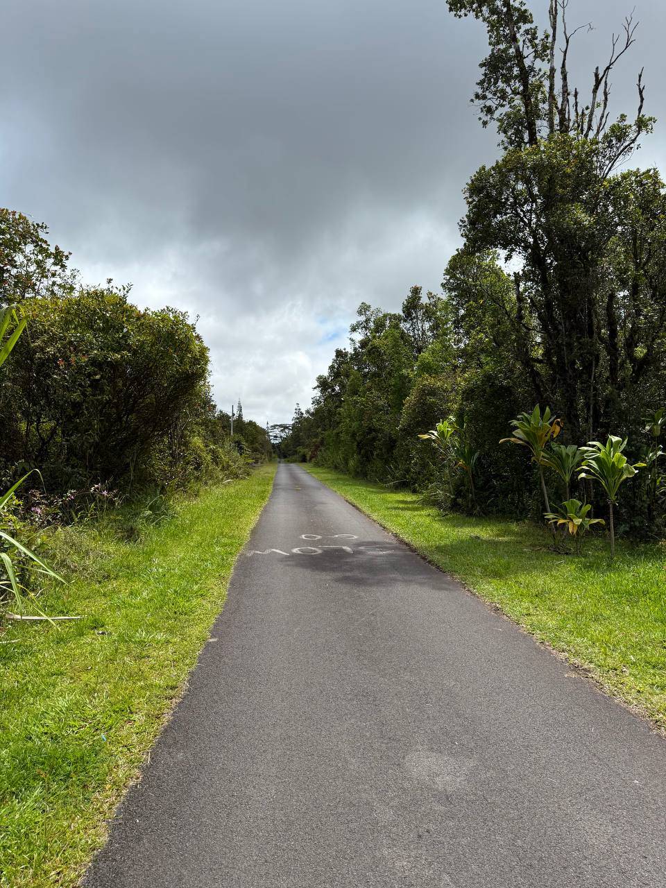 Mountain View, HI 96771,PUNA WAI AVE