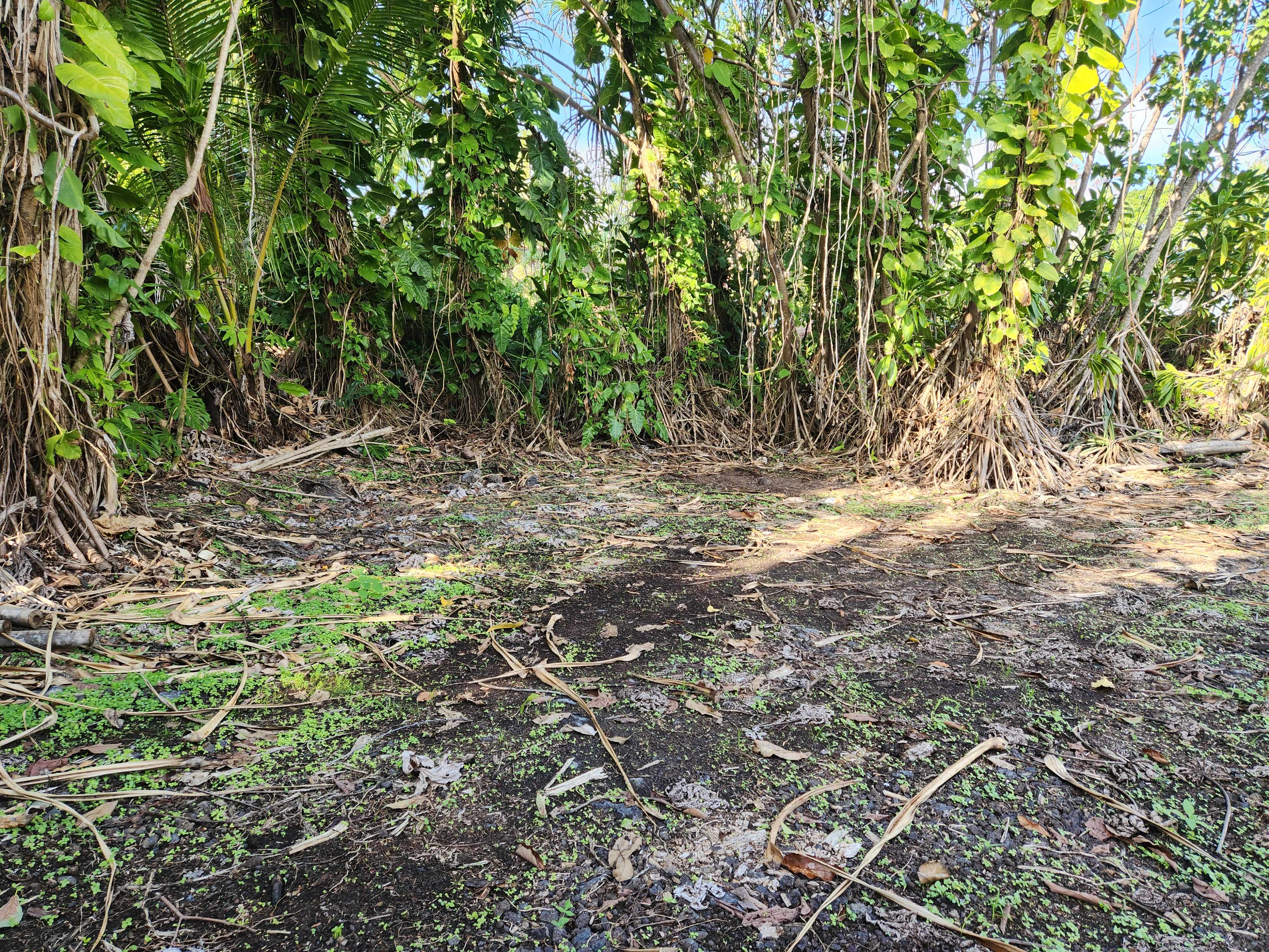 Pahoa, HI 96778,POHAKUPELE LP