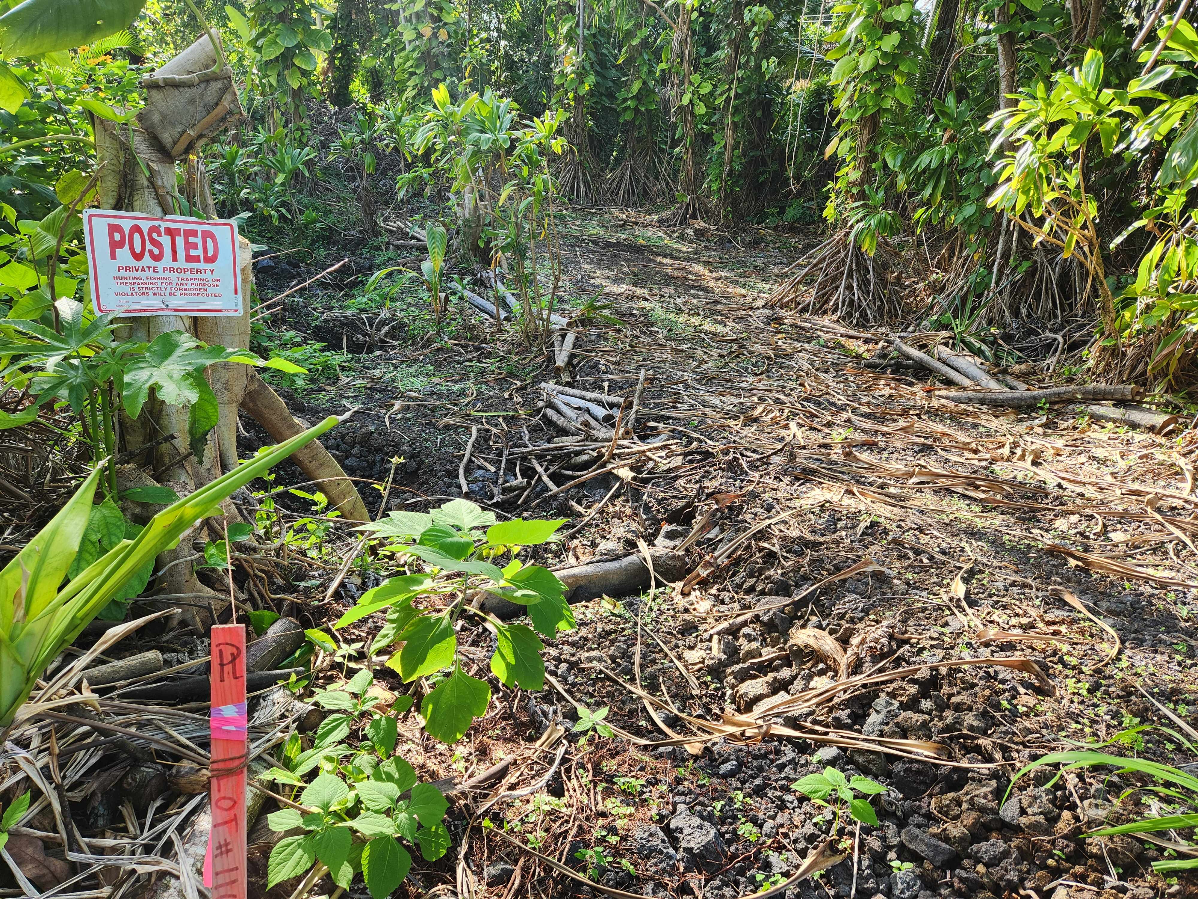 Pahoa, HI 96778,POHAKUPELE LP