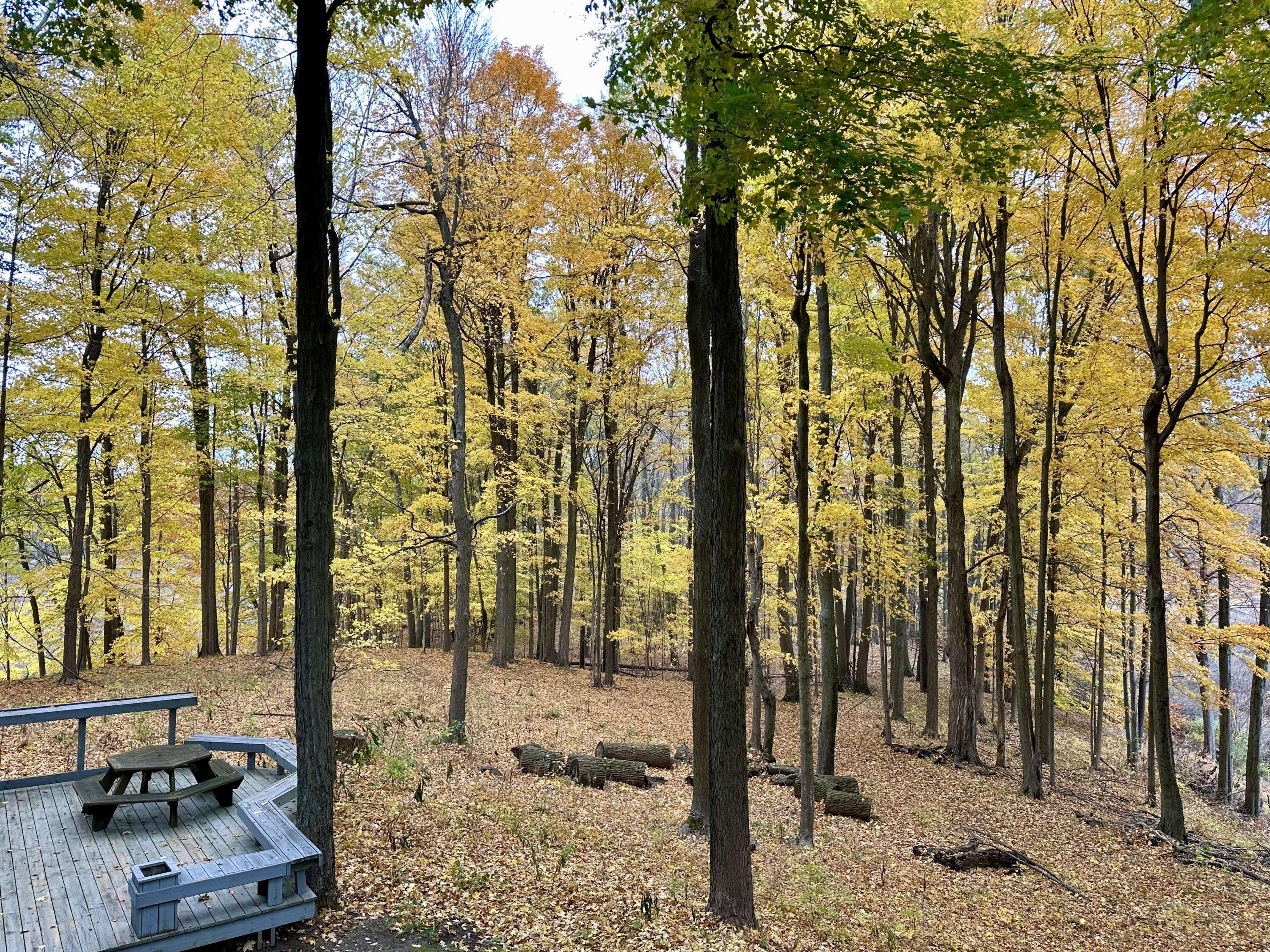 Augusta, MI 49012,15833 E B AVE