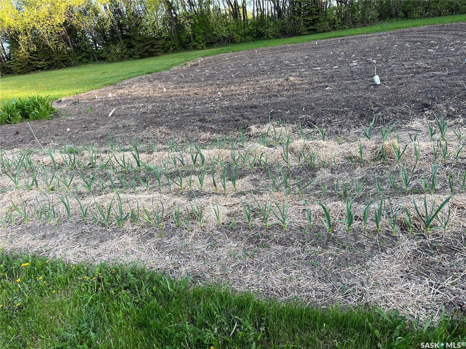 Fletts Springs Rm No. 429, SK S0K 3V0,Rural Address