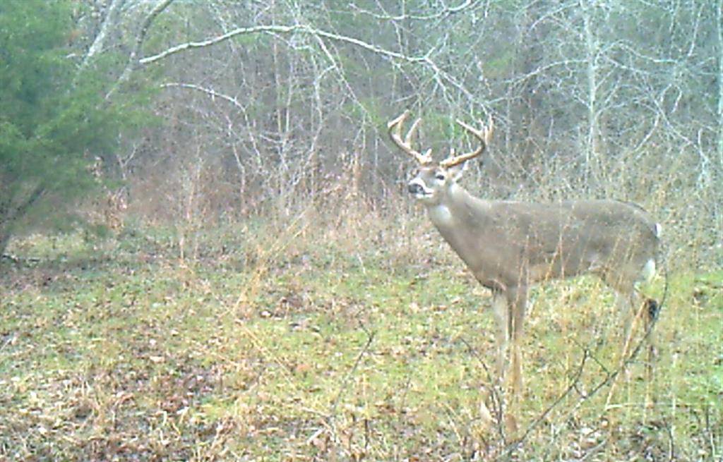 Dawson, TX 76639,3324 County Road 3206