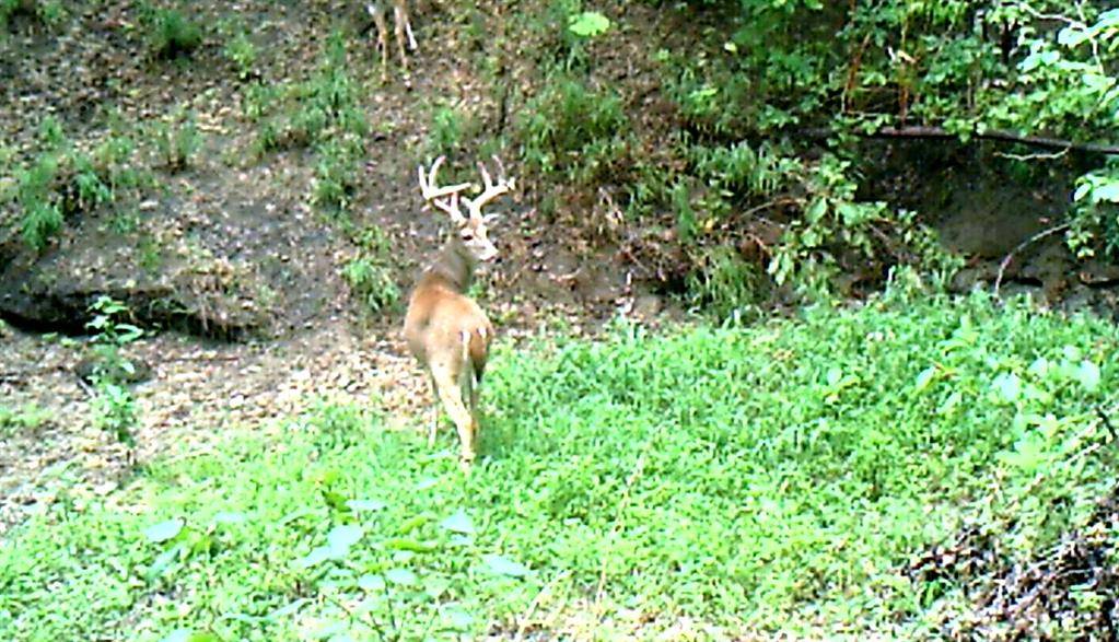 Dawson, TX 76639,3324 County Road 3206