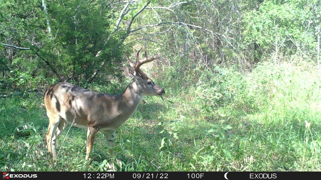 Dawson, TX 76639,3324 County Road 3206