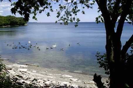 Toronto W06, ON M8V 1G8,2680 Lake Shore BLVD W