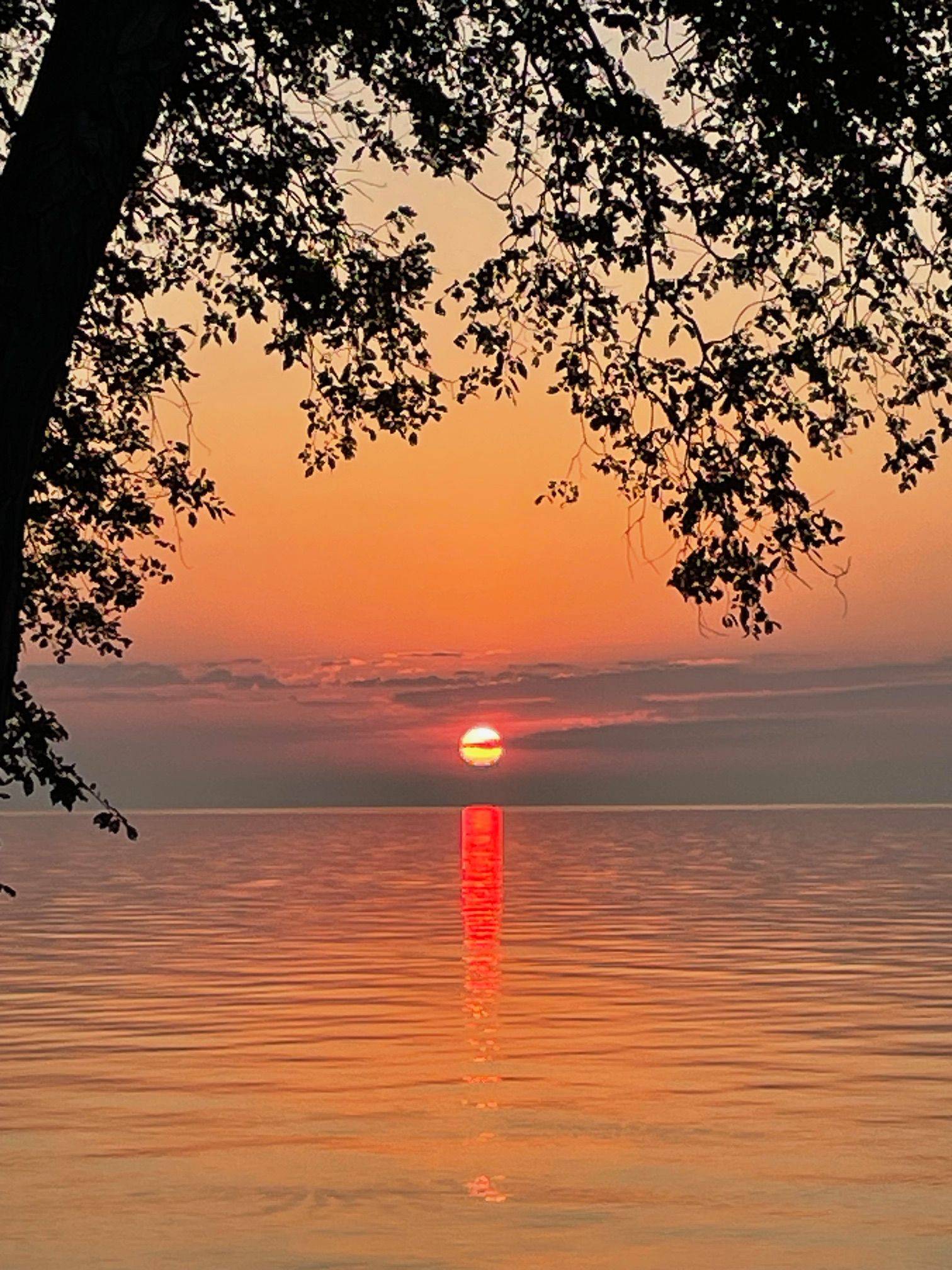 Toronto W06, ON M8V 1G8,2680 Lake Shore BLVD W