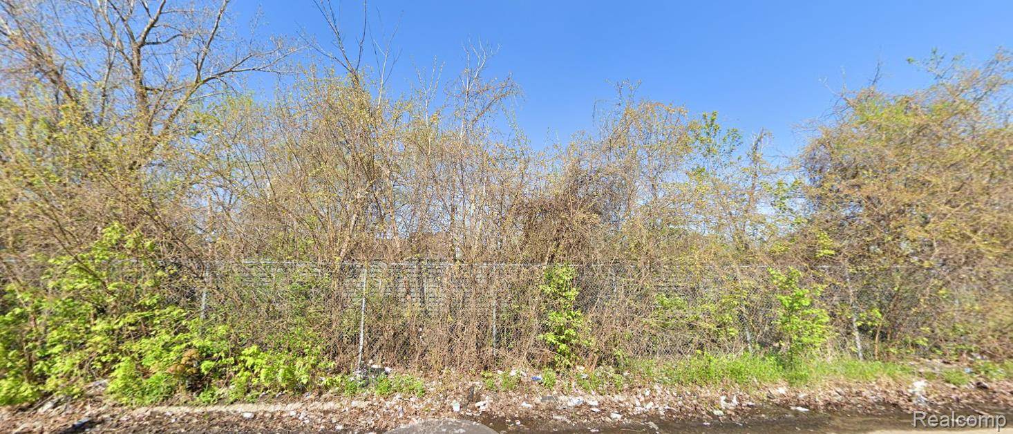 Detroit, MI 48212,17249 FILER ST