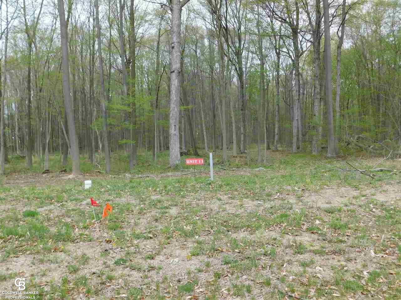 Richmond, MI 48062,67831 Ashley