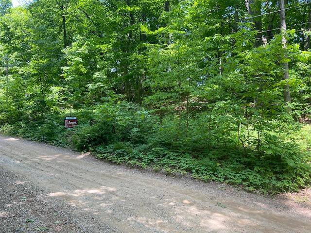 Covert, MI 49043,VL Ramblewood DR