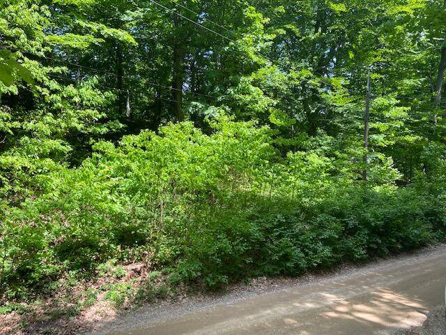 Covert, MI 49043,VL Ramblewood DR