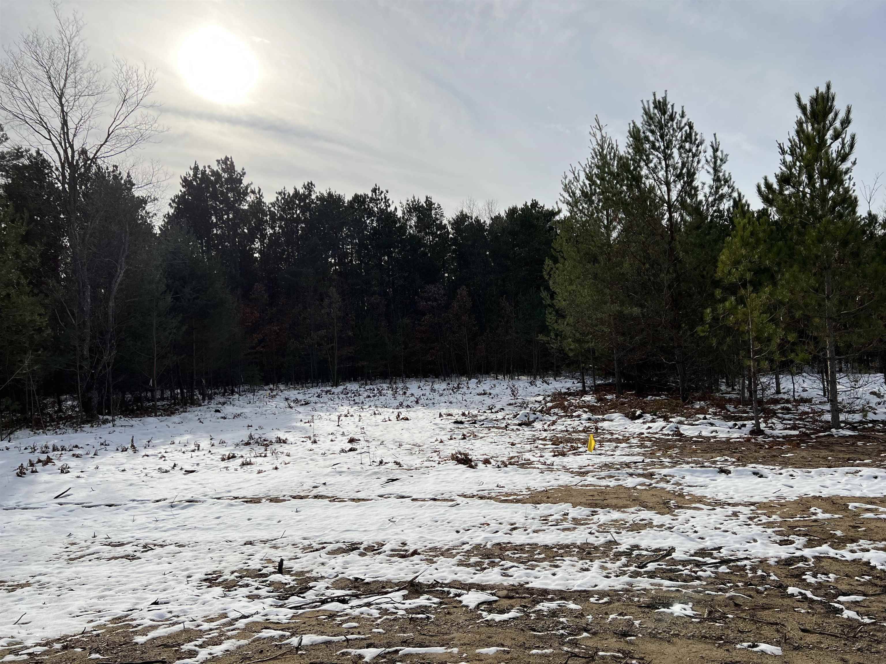 Rapid City, MI 49676,7980 NW Springwater